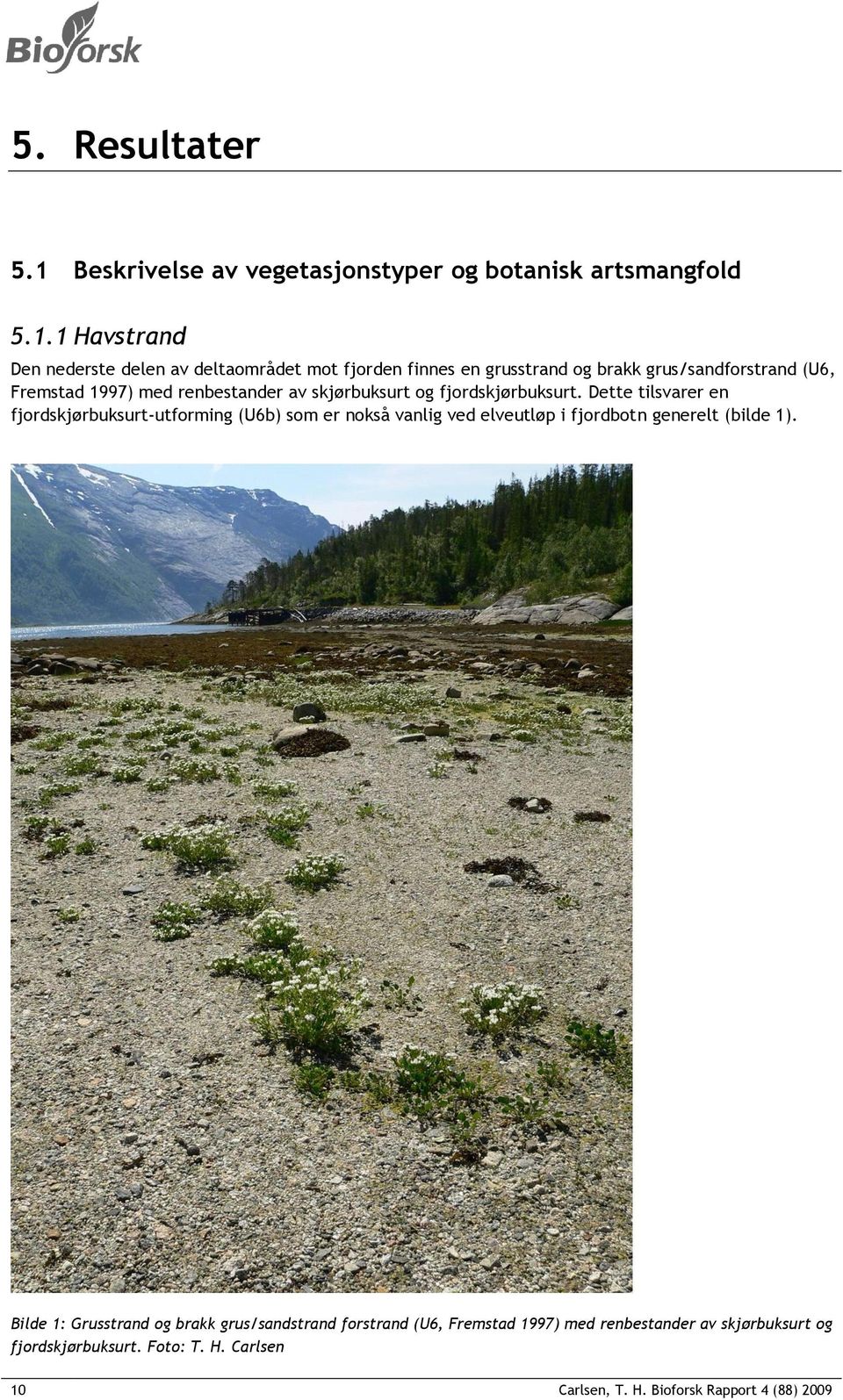 1 Havstrand Den nederste delen av deltaområdet mot fjorden finnes en grusstrand og brakk grus/sandforstrand (U6, Fremstad 1997) med renbestander