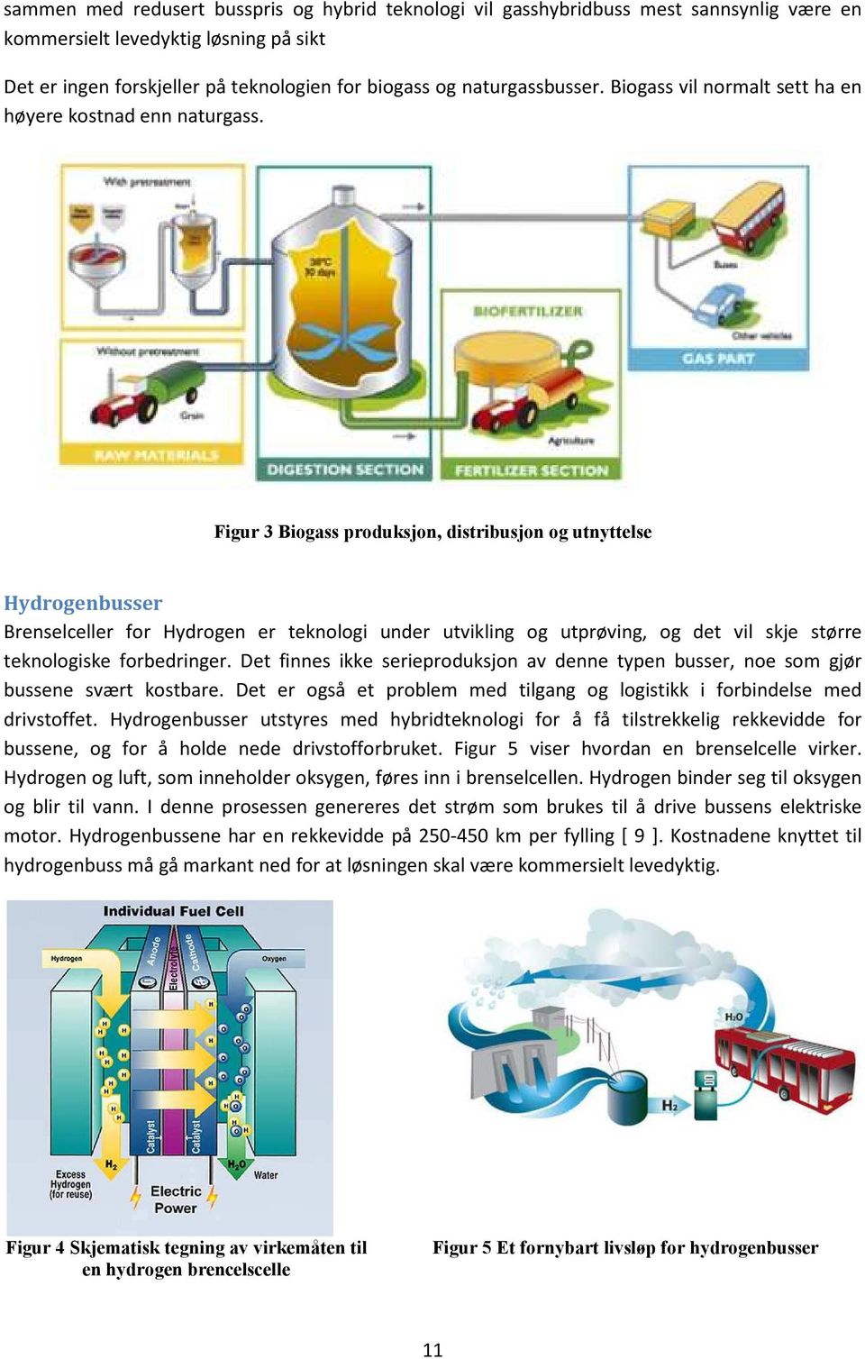 Figur 3 Biogass produksjon, distribusjon og utnyttelse Hydrogenbusser Brenselceller for Hydrogen er teknologi under utvikling og utprøving, og det vil skje større teknologiske forbedringer.