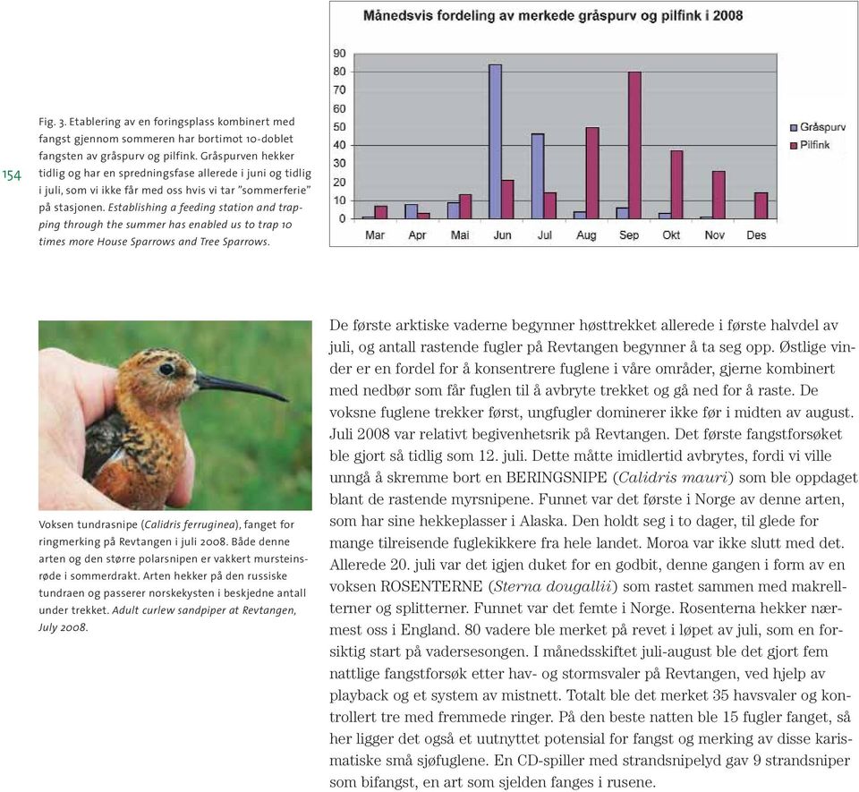 Establishing a feeding station and trapping through the summer has enabled us to trap 10 times more House Sparrows and Tree Sparrows.