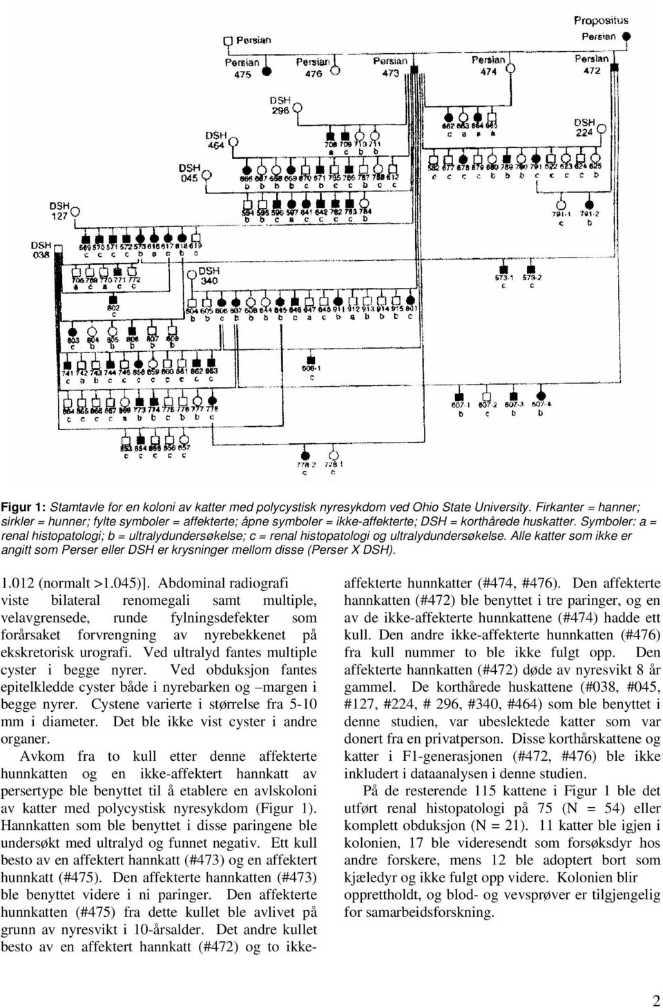 Symboler: a = renal histopatologi; b = ultralydundersøkelse; c = renal histopatologi og ultralydundersøkelse.