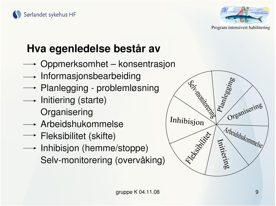 (starte) Organisering Arbeidshukommelse Fleksibilitet (skifte)