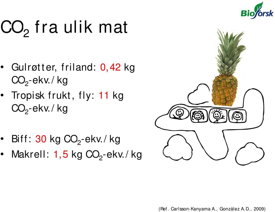 /kg Biff: 30 kg CO 2 -ekv.