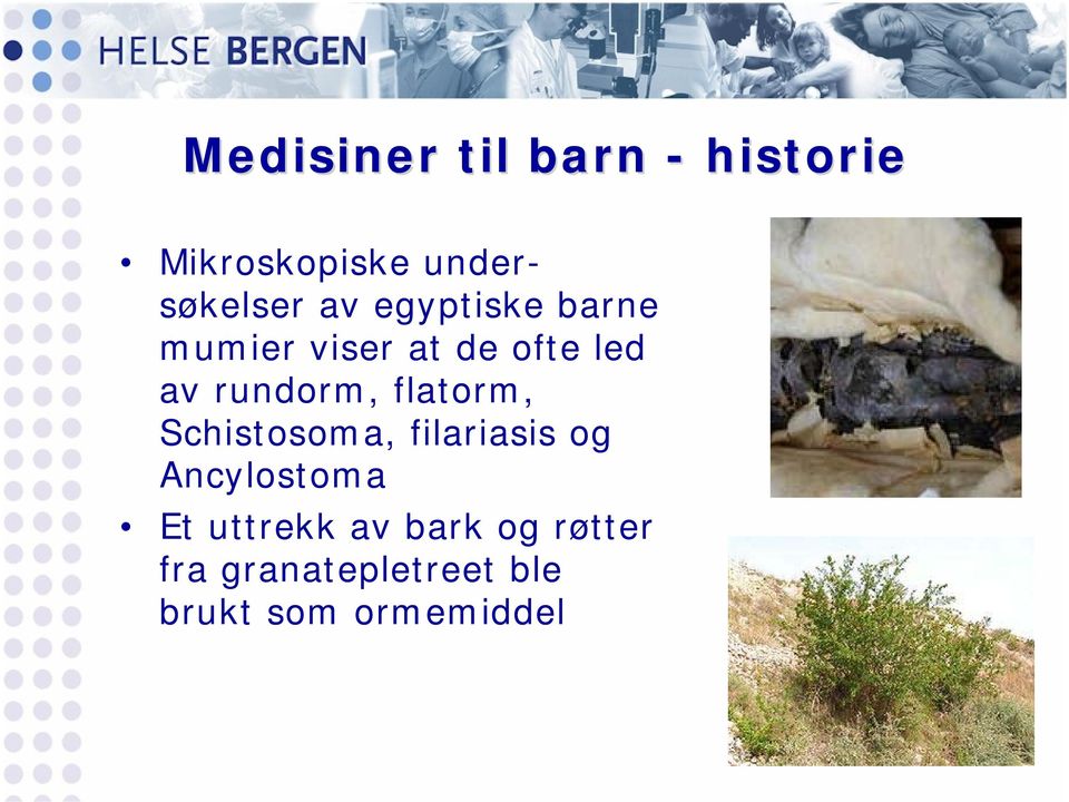 flatorm, Schistosoma, filariasis og Ancylostoma Et uttrekk