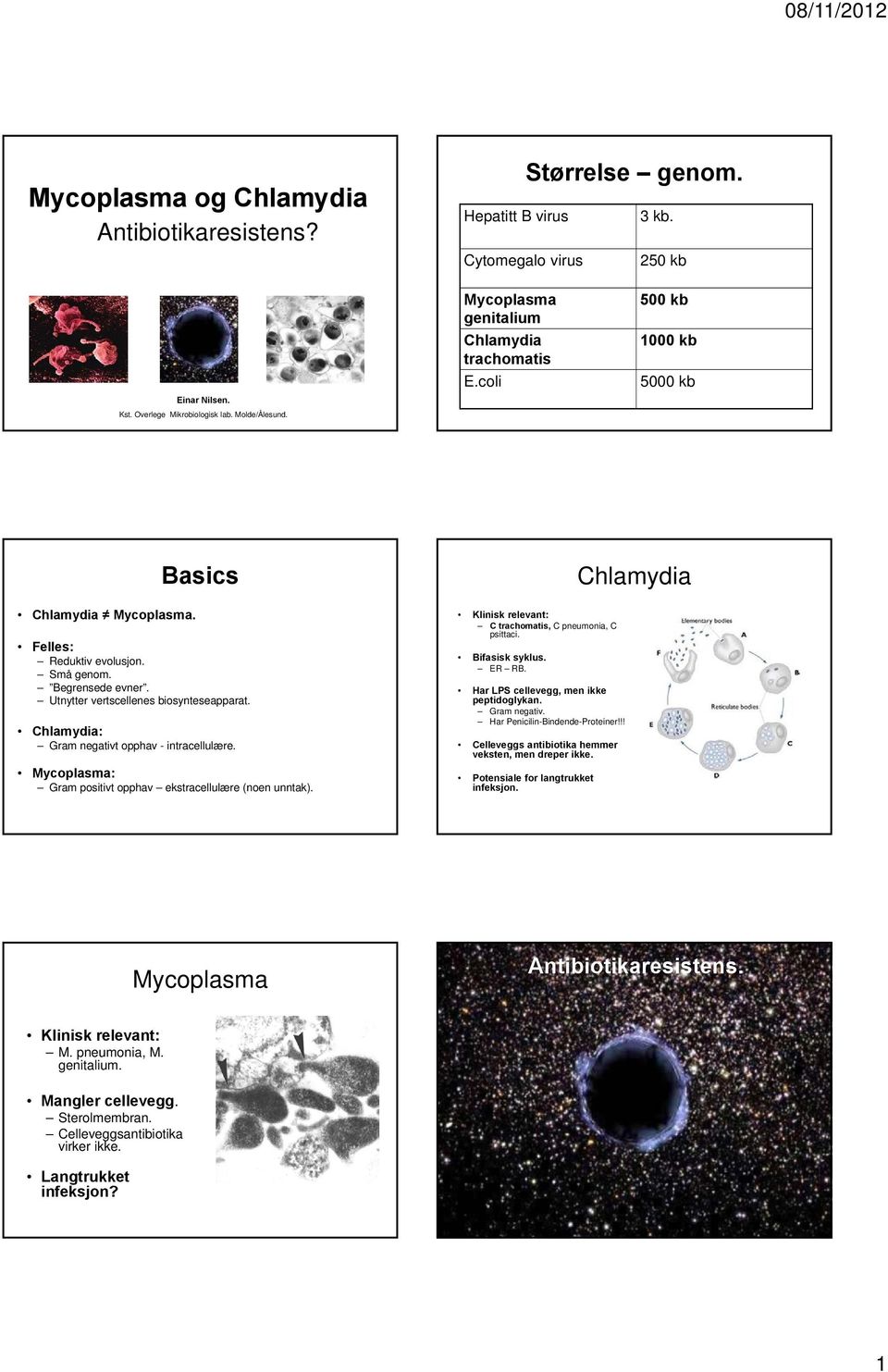 Utnytter vertscellenes biosynteseapparat. Chlamydia: Gram negativt opphav - intracellulære. Mycoplasma: Gram positivt opphav ekstracellulære (noen unntak).