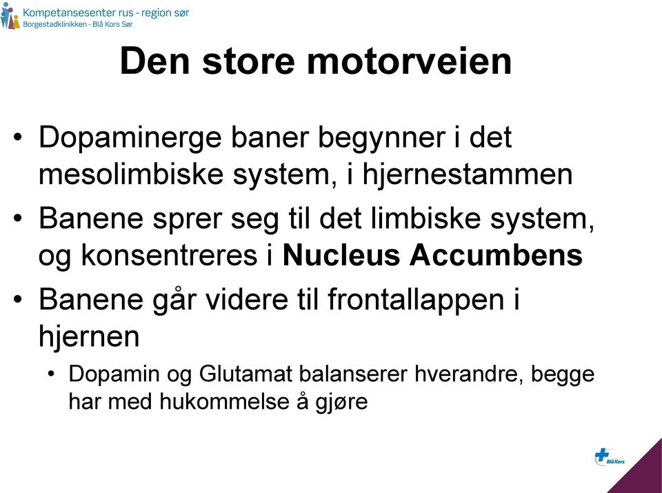 konsentreres i Nucleus Accumbens Banene går videre til frontallappen i