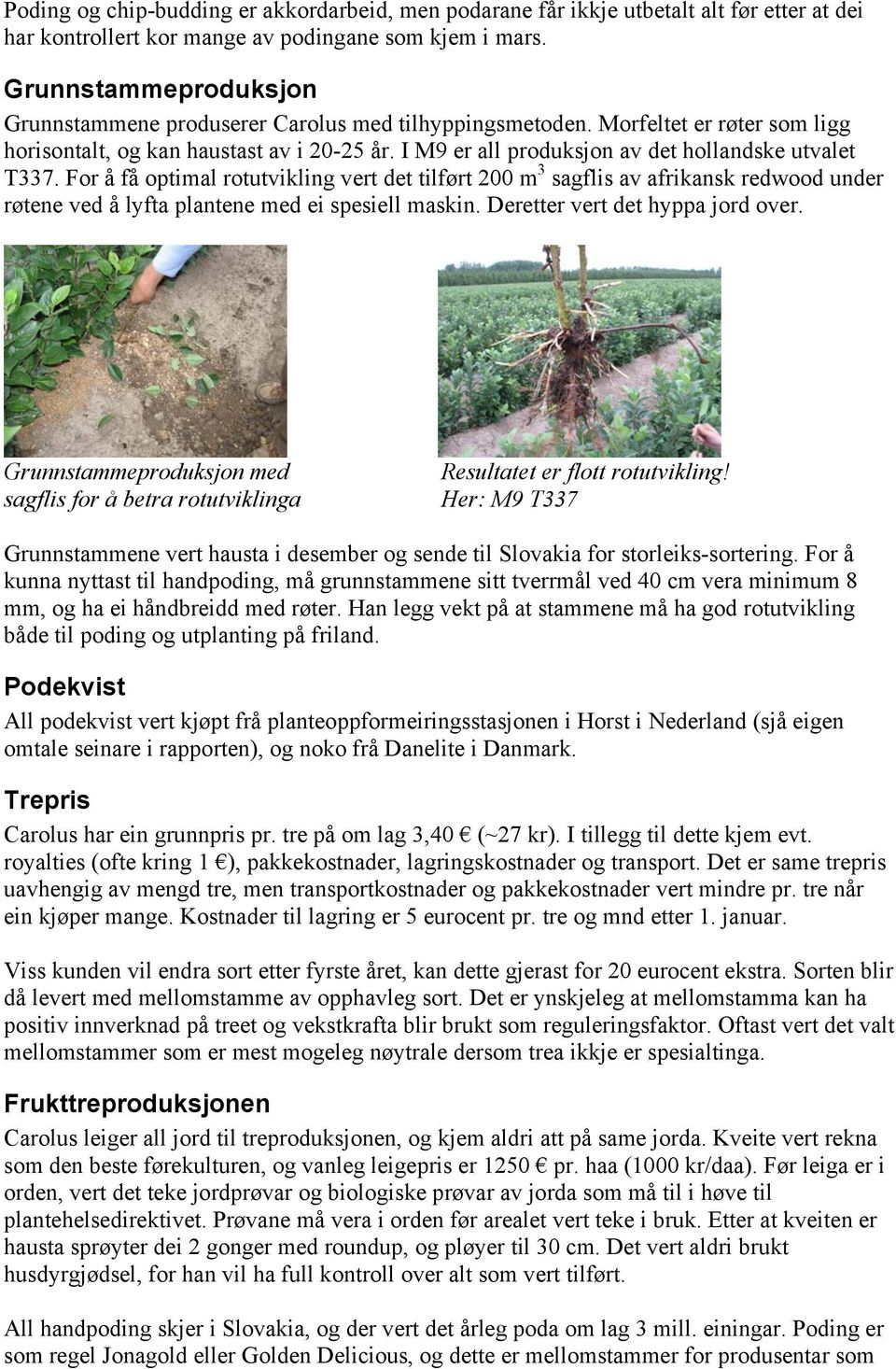 I M9 er all produksjon av det hollandske utvalet T337. For å få optimal rotutvikling vert det tilført 200 m 3 sagflis av afrikansk redwood under røtene ved å lyfta plantene med ei spesiell maskin.