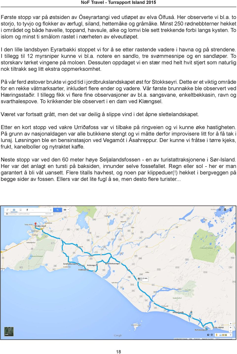 I den lille landsbyen Eyrarbakki stoppet vi for å se etter rastende vadere i havna og på strendene. I tillegg til 12 myrsniper kunne vi bl.a. notere en sandlo, tre svømmesnipe og en sandløper.