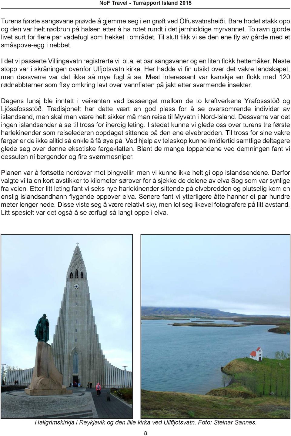 Neste stopp var i skråningen ovenfor Ulfjotsvatn kirke. Her hadde vi fin utsikt over det vakre landskapet, men dessverre var det ikke så mye fugl å se.