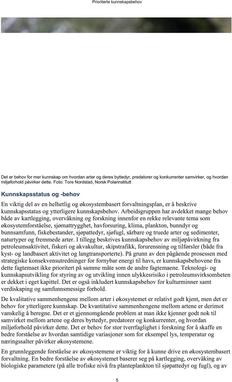 Arbeidsgruppen har avdekket mange behov både av kartlegging, overvåkning og forskning innenfor en rekke relevante tema som økosystemforståelse, sjømattrygghet, havforsuring, klima, plankton, bunndyr