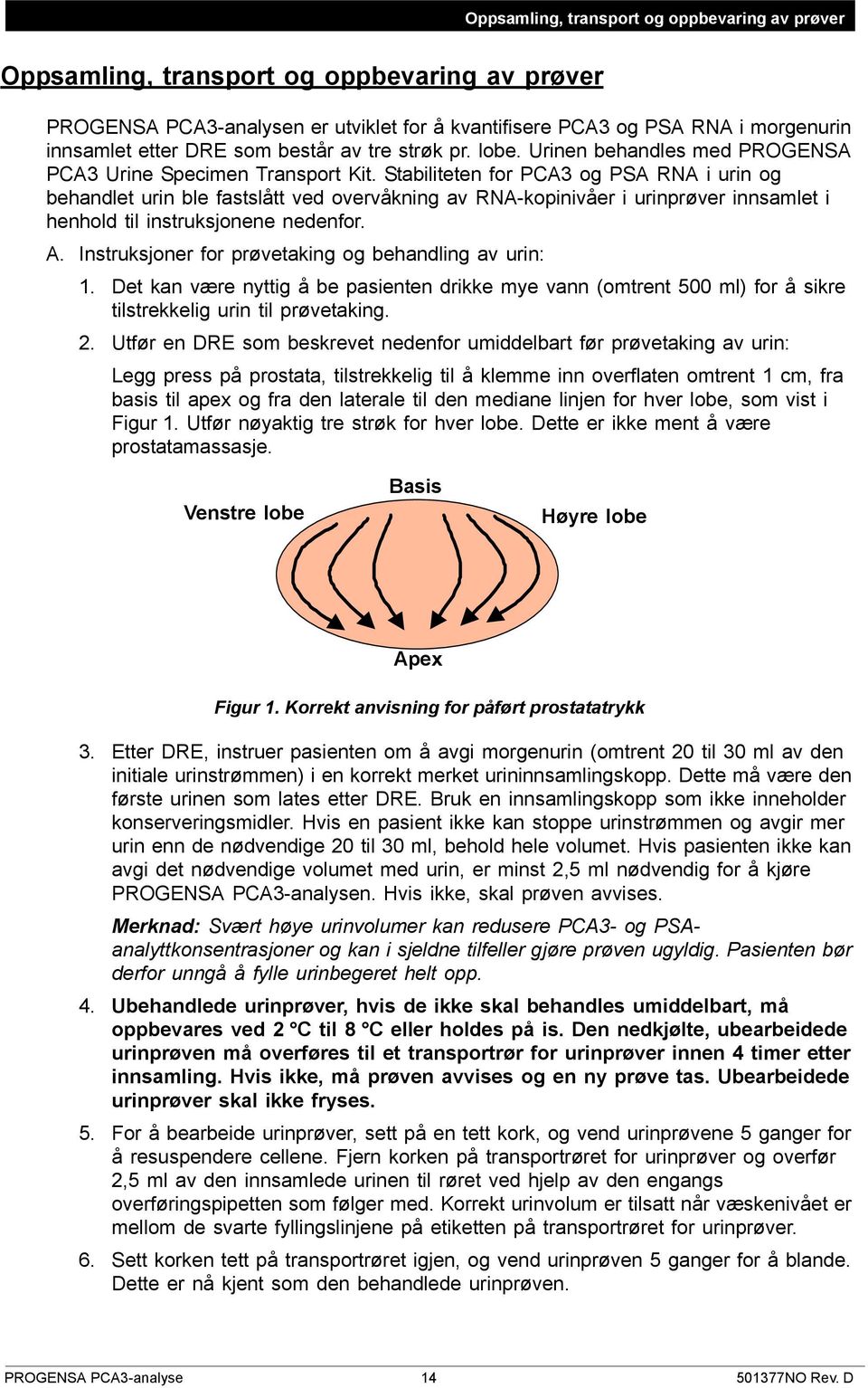 Stabiliteten for PCA3 og PSA RNA i urin og behandlet urin ble fastslått ved overvåkning av RNA-kopinivåer i urinprøver innsamlet i henhold til instruksjonene nedenfor. A.