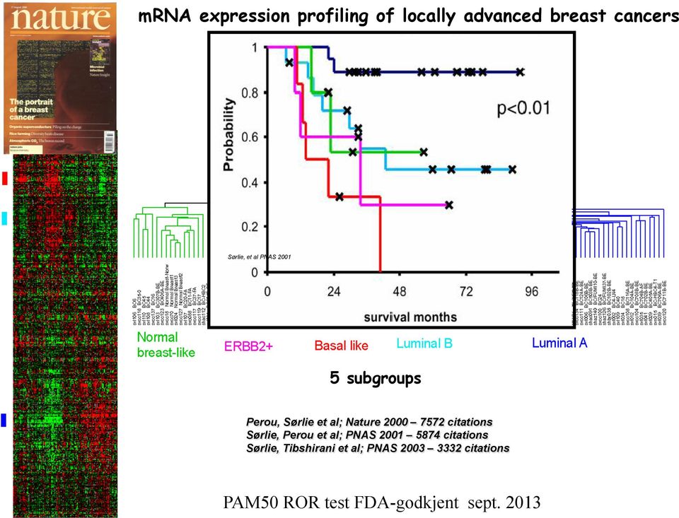 Nature 2000 7572 citations Sørlie, Perou et al; PNAS 2001 5874 citations