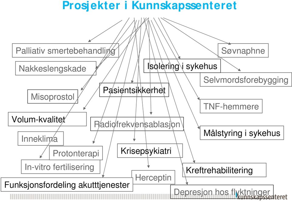 akutttjenester Pasientsikkerhet Radiofrekvensablasjon Krisepsykiatri Isolering i sykehus