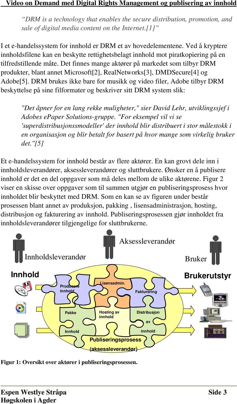 Det finnes mange aktører på markedet som tilbyr DRM produkter, blant annet Microsoft[2], RealNetworks[3], DMDSecure[4] og Adobe[5].