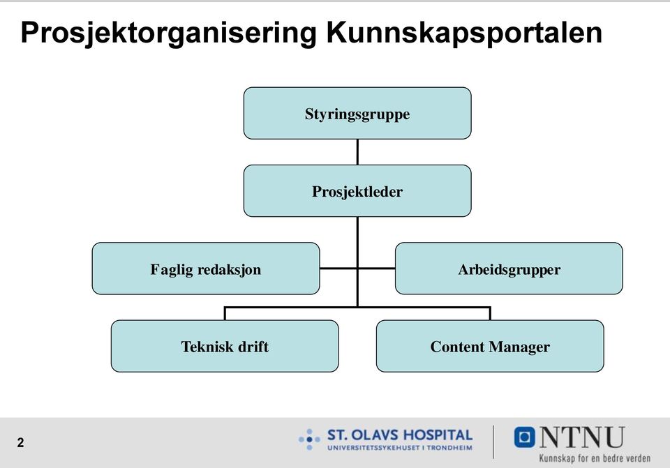 Prosjektleder Faglig redaksjon