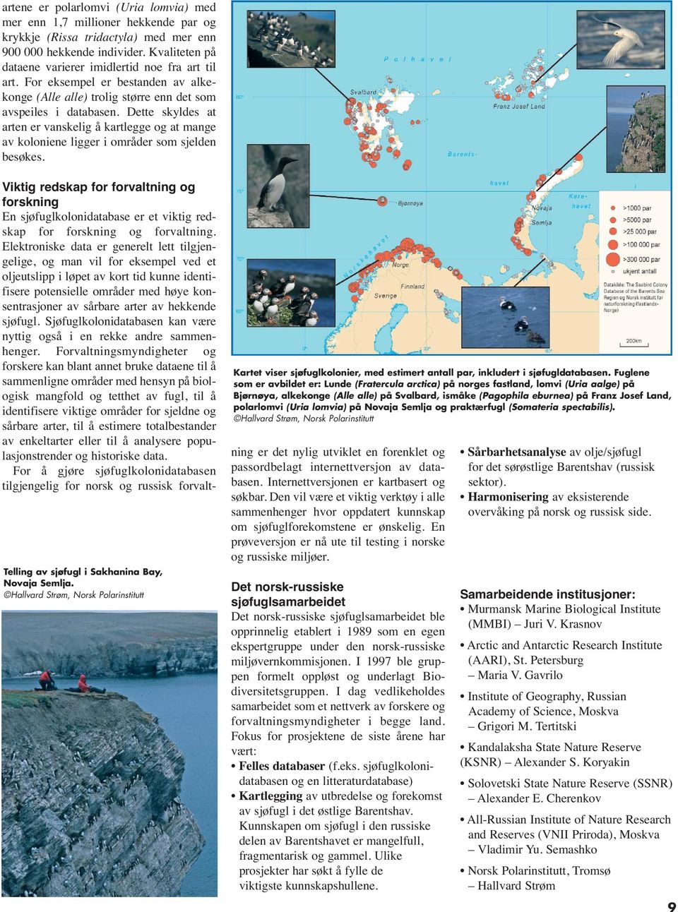 Dette skyldes at arten er vanskelig å kartlegge og at mange av koloniene ligger i områder som sjelden besøkes. Telling av sjøfugl i Sakhanina Bay, Novaja Semlja.