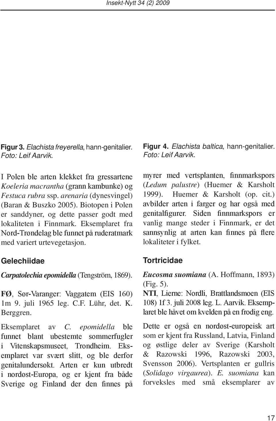 Eksemplaret fra Nord-Trøndelag ble funnet på ruderatmark med variert urtevegetasjon. Gelechiidae Carpatolechia epomidella (Tengström, 1869). FØ, Sør-Varanger: Vaggatem (EIS 160) 1m 9. juli 1965 leg.