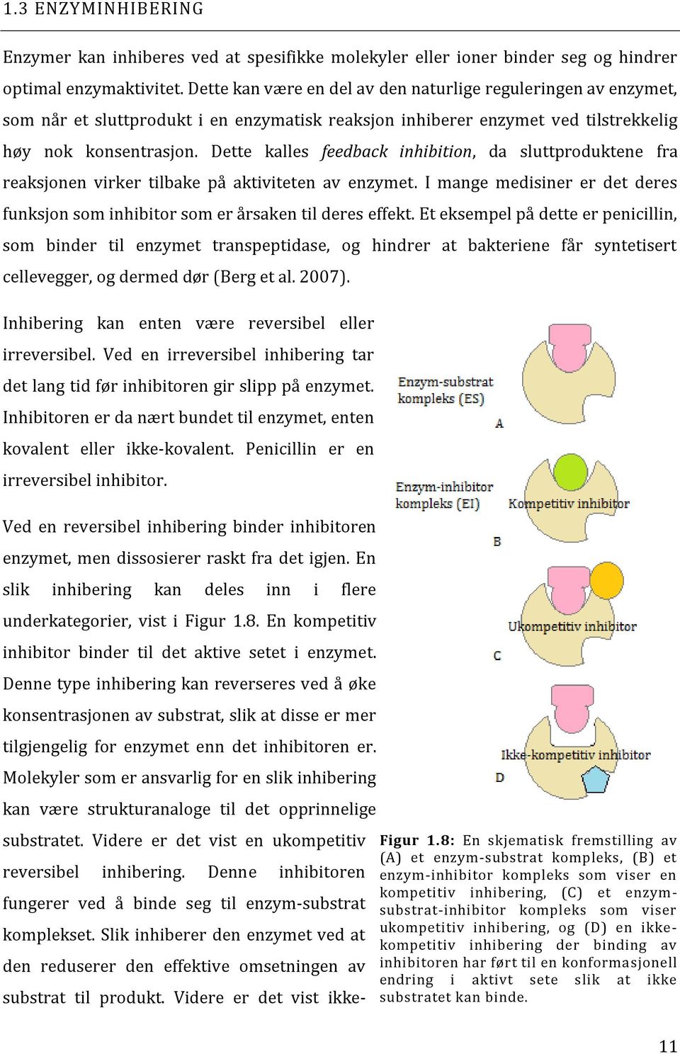 Dette kalles feedback inhibition, da sluttproduktene fra reaksjonen virker tilbake på aktiviteten av enzymet. I mange medisiner er det deres funksjon som inhibitor som er årsaken til deres effekt.