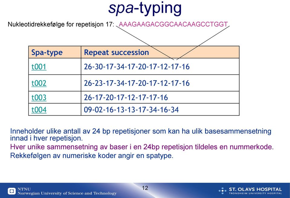 09-02-16-13-13-17-34-16-34 Inneholder ulike antall av 24 bp repetisjoner som kan ha ulik basesammensetning innad i