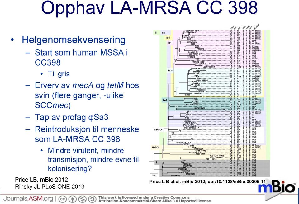 menneske som LA-MRSA CC 398 Mindre virulent, mindre transmisjon, mindre evne til kolonisering?