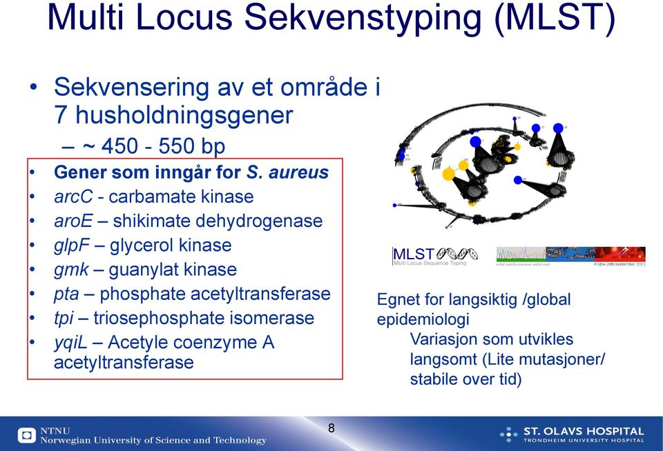 aureus arcc - carbamate kinase aroe shikimate dehydrogenase glpf glycerol kinase gmk guanylat kinase pta