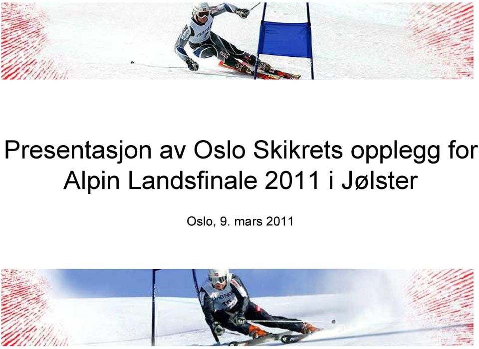 Alpin Landsfinale 2011