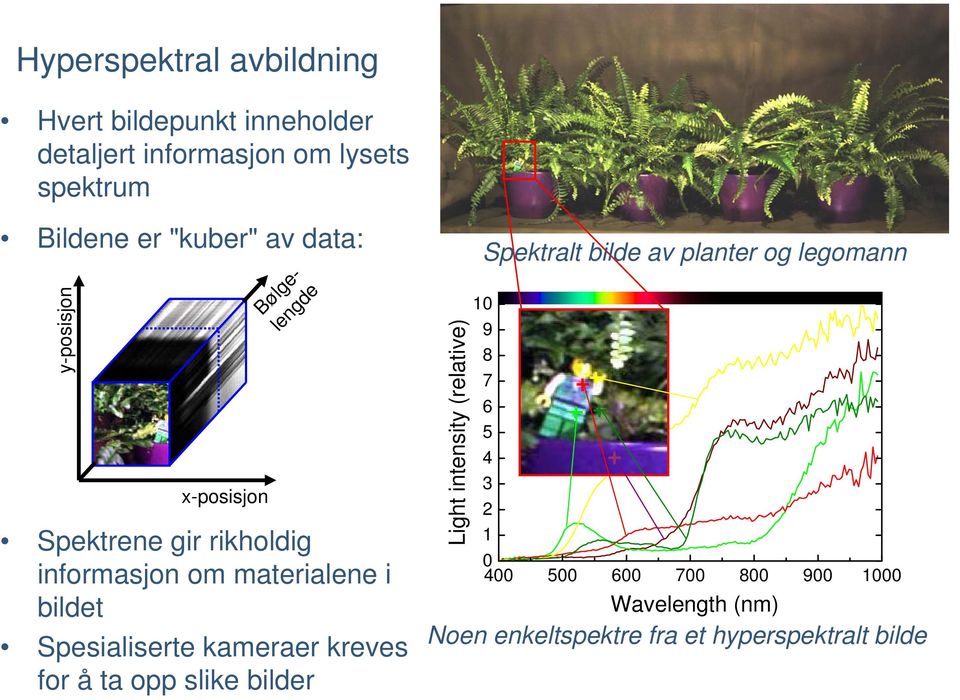 Light intensity (relative) Lysstyrke (relativ) Spektralt bilde av planter og legomann 10 9 Blomsterpotte 8 Grønn plast Rød plast 7 Gul