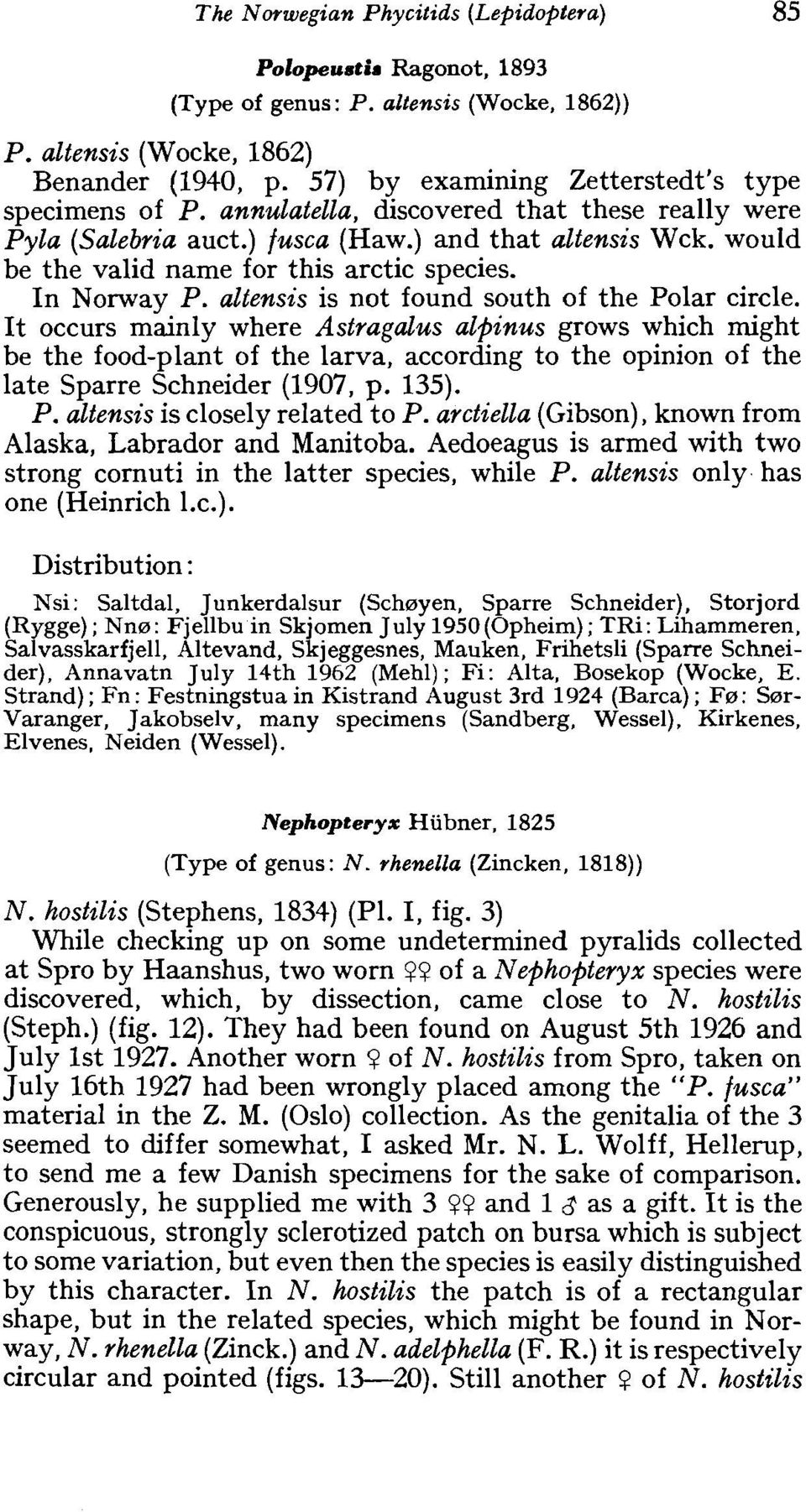 would be the valid name for this arctic species. In Norway P. altensis is not found south of the Polar circle.