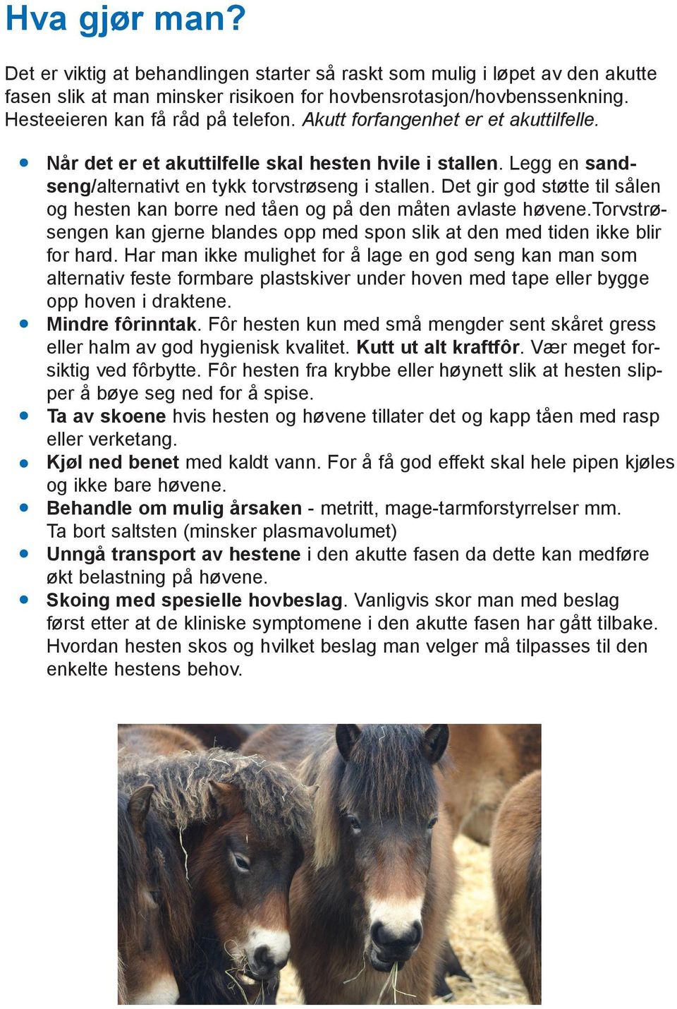 Det gir god støtte til sålen og hesten kan borre ned tåen og på den måten avlaste høvene.torvstrøsengen kan gjerne blandes opp med spon slik at den med tiden ikke blir for hard.