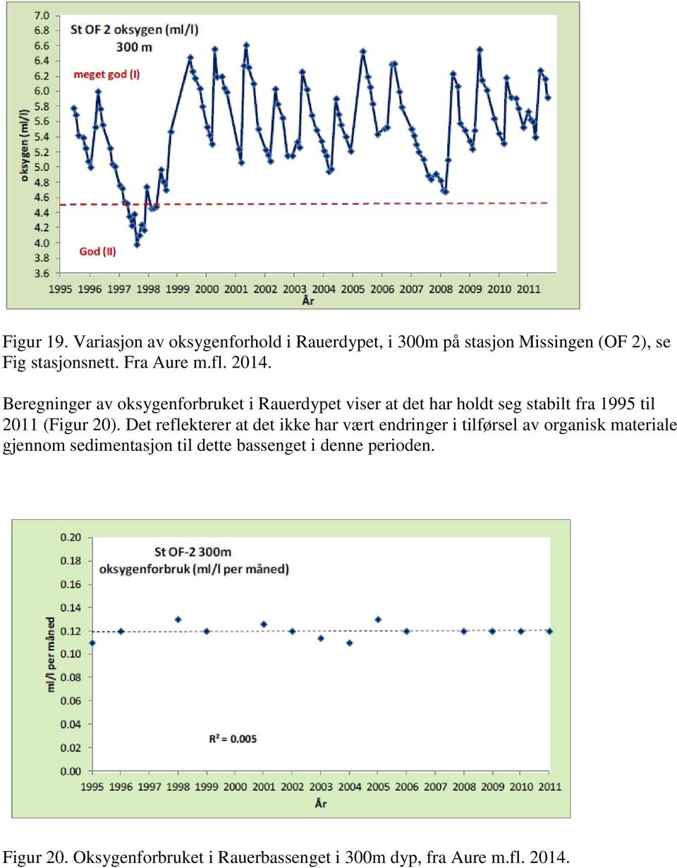 Beregninger av oksygenforbruket i Rauerdypet viser at det har holdt seg stabilt fra 1995 til 2011 (Figur 20).