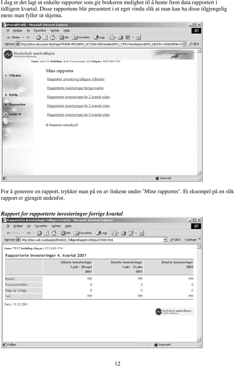 Disse rapportene blir presentert i et eget vindu slik at man kan ha disse tilgjengelig mens man fyller