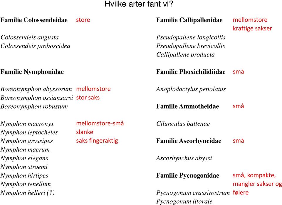 producta Familie Nymphonidae Familie Phoxichilidiidae små Boreonymphon abyssorum mellomstore Anoplodactylus petiolatus Boreonymphon ossiansarsi stor saks Boreonymphon robustum Familie Ammotheidae