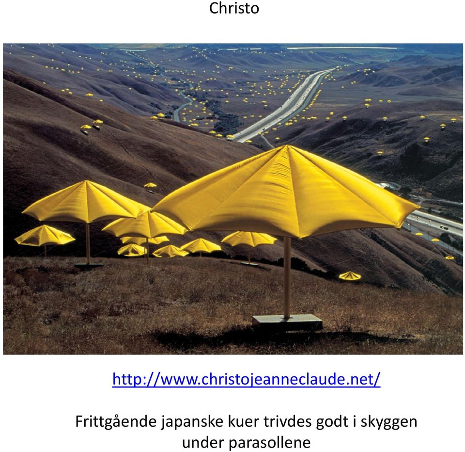 net/ Frittgående japanske