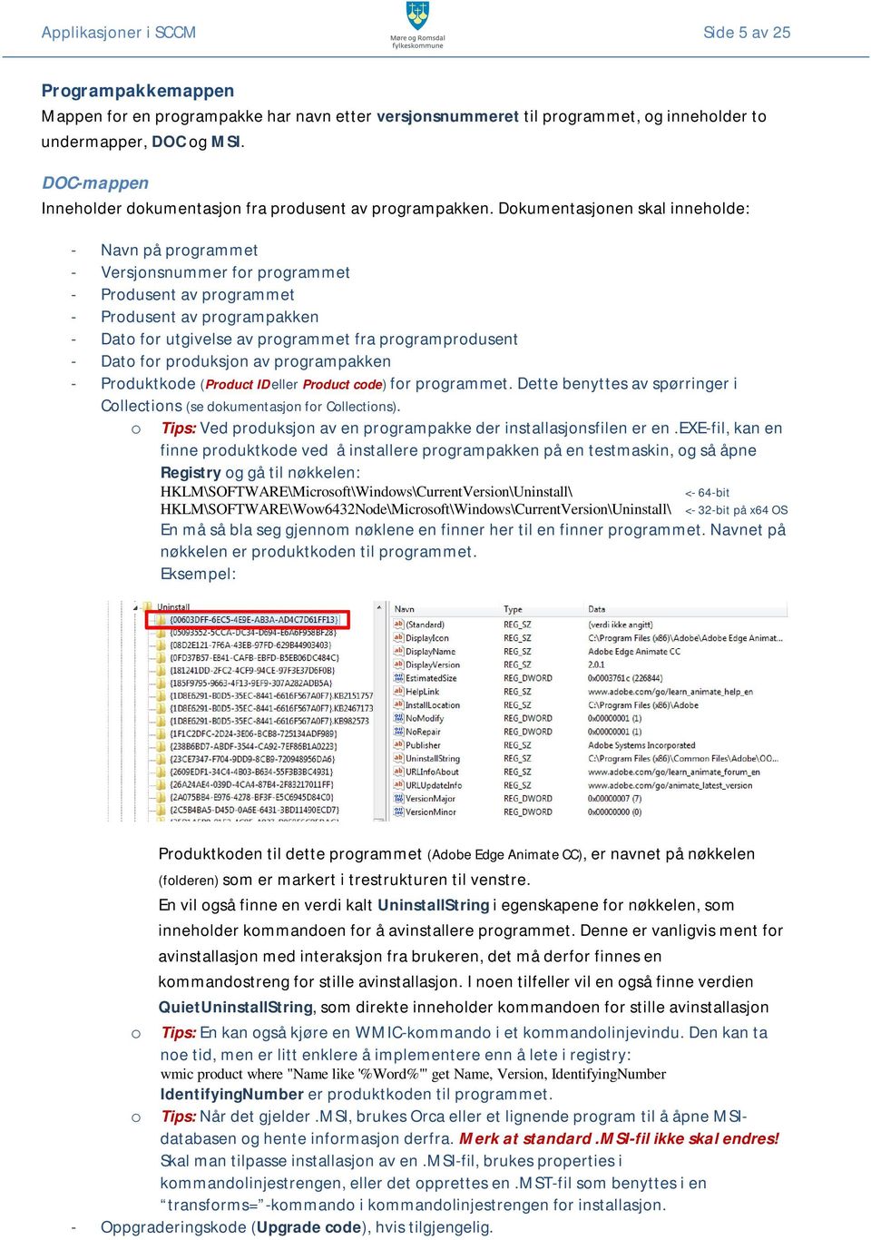 Dokumentasjonen skal inneholde: - Navn på programmet - Versjonsnummer for programmet - Produsent av programmet - Produsent av programpakken - Dato for utgivelse av programmet fra programprodusent -