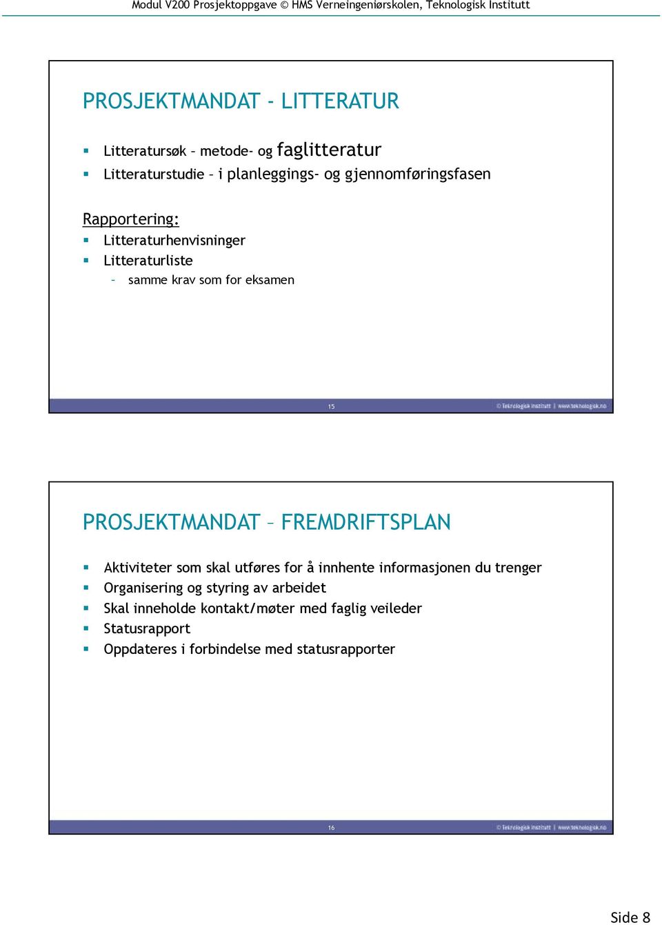 PROSJEKTMANDAT FREMDRIFTSPLAN Aktiviteter som skal utføres for å innhente informasjonen du trenger Organisering og