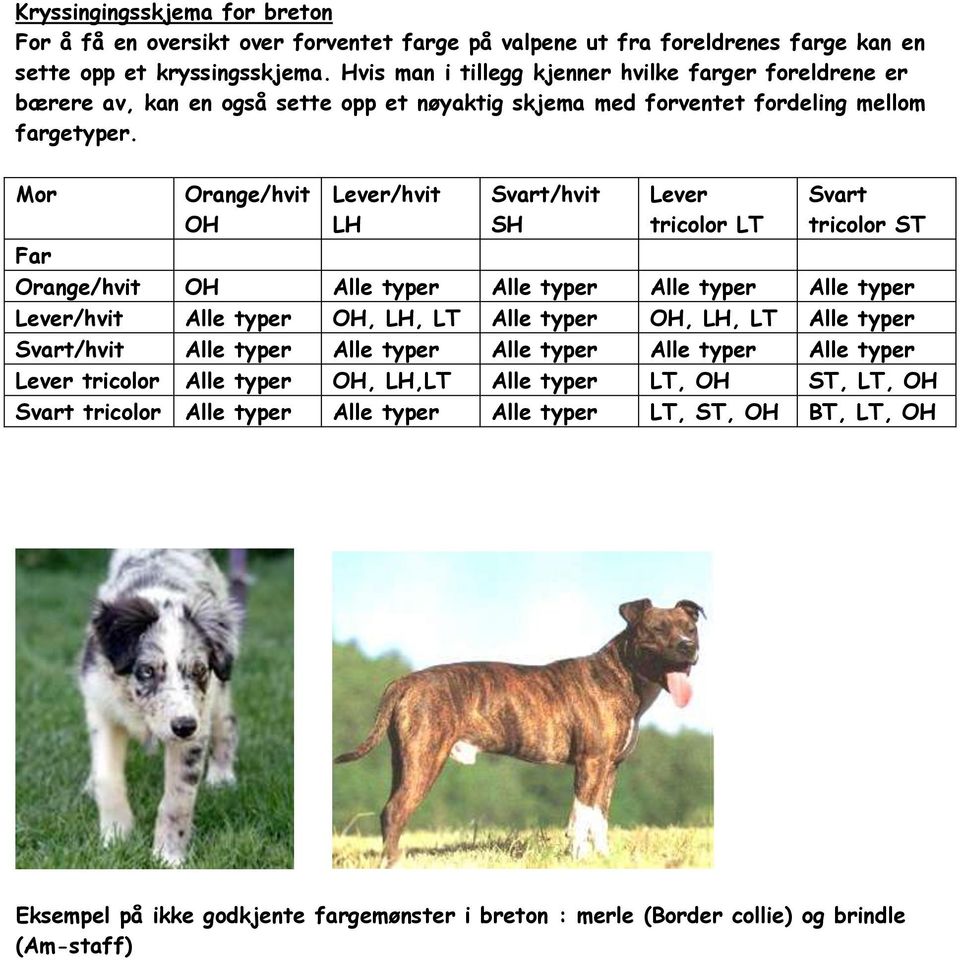 Mor Orange/hvit OH Lever/hvit LH Svart/hvit SH Lever tricolor LT Svart tricolor ST Far Orange/hvit OH Alle typer Alle typer Alle typer Alle typer Lever/hvit Alle typer OH, LH, LT Alle typer OH, LH,