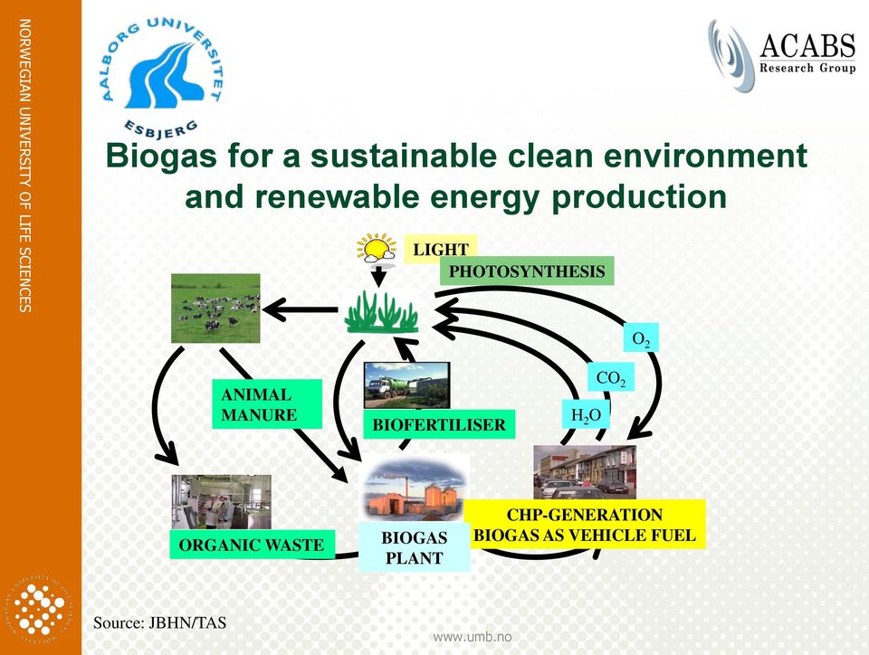 PHOTOSYNTHESIS O 2 ANIMAL MANURE BIOFERTILISER H 2 O CO 2 ORGANIC