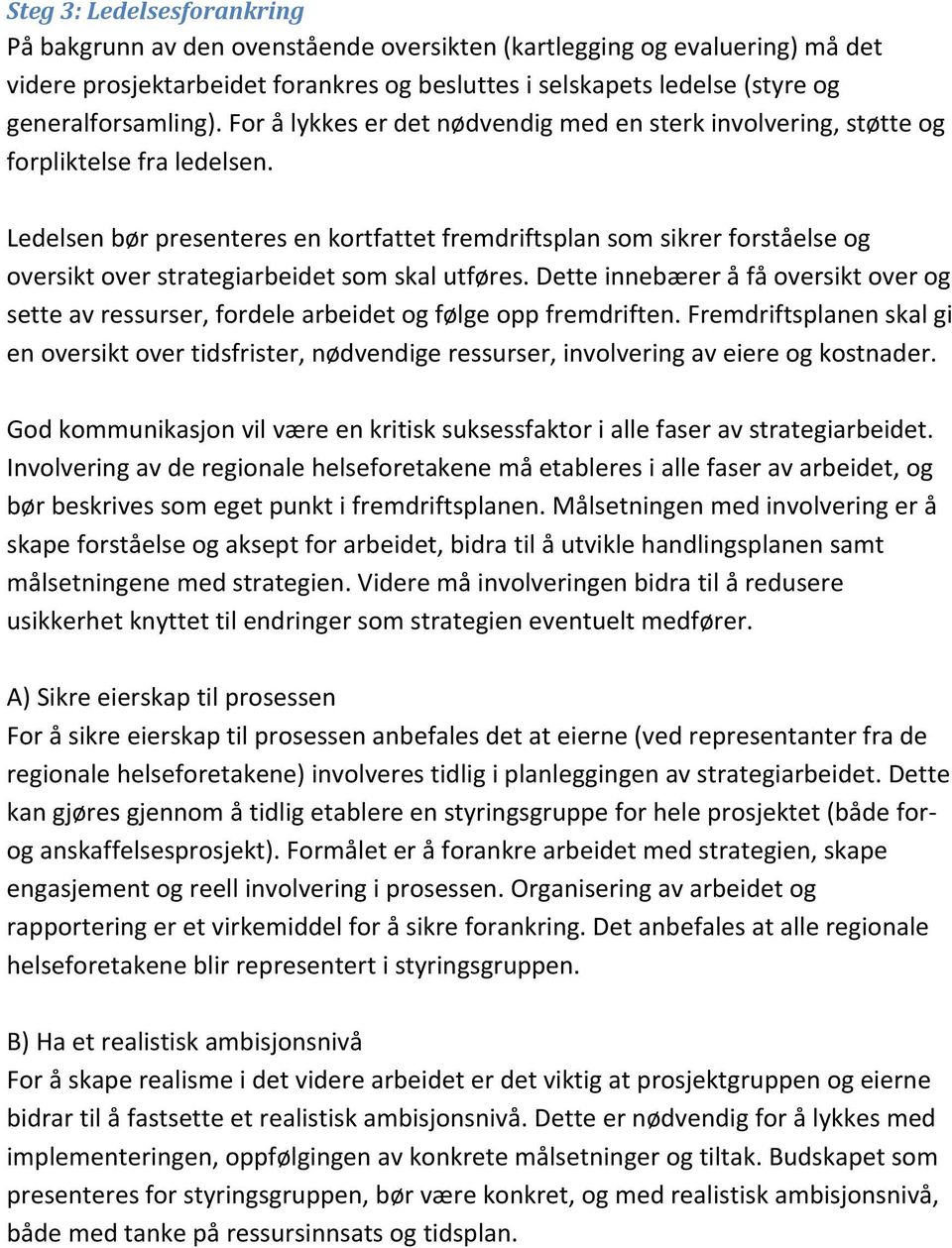 Ledelsen bør presenteres en kortfattet fremdriftsplan som sikrer forståelse og oversikt over strategiarbeidet som skal utføres.