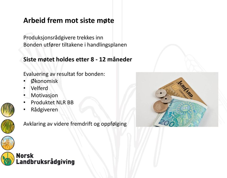 måneder Evaluering av resultat for bonden: Økonomisk Velferd