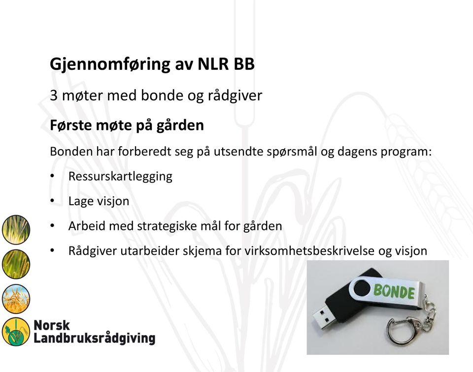 program: Ressurskartlegging Lage visjon Arbeid med strategiske mål