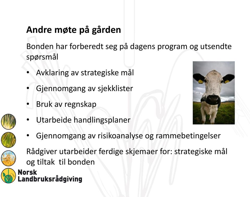 regnskap Utarbeide handlingsplaner Gjennomgang av risikoanalyse og