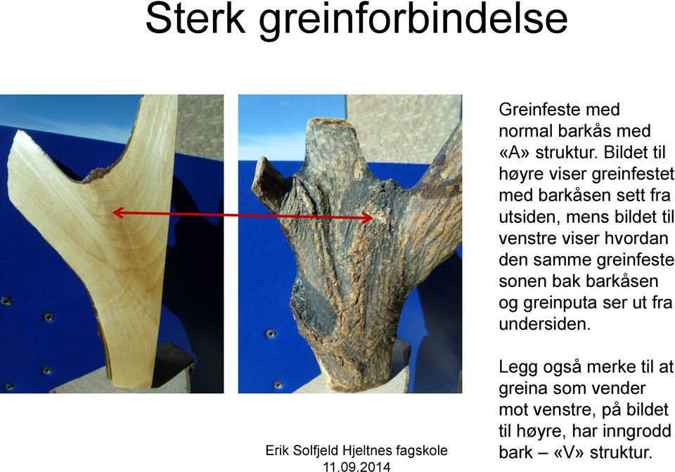 venstre viser hvordan den samme greinfeste sonen bak barkåsen og greinputa ser ut fra