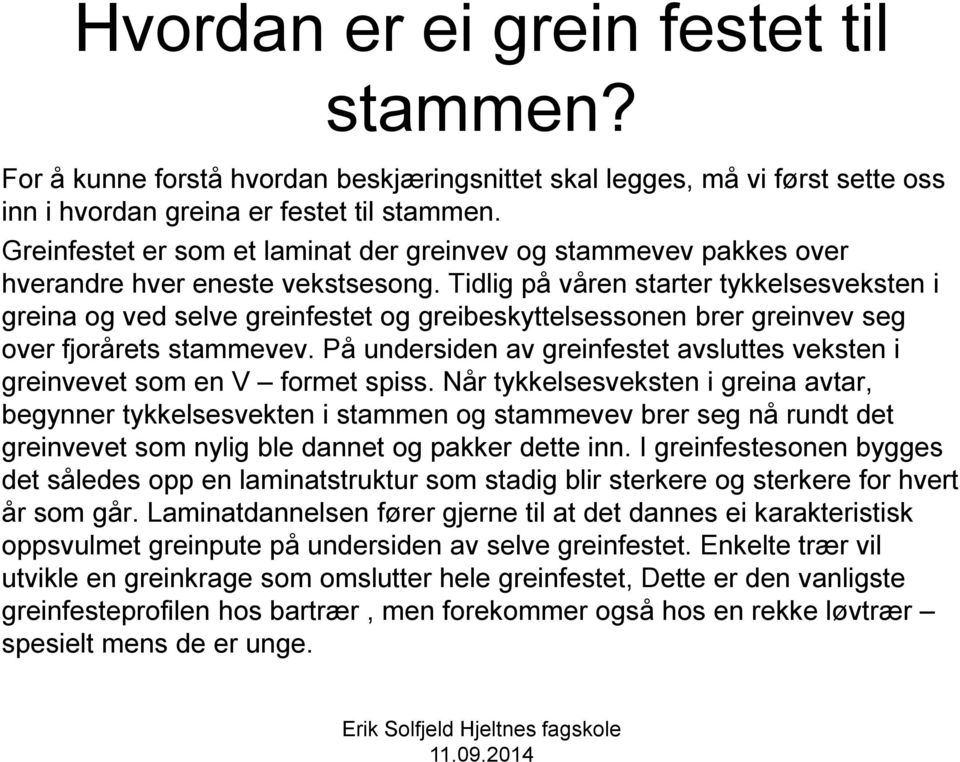 Tidlig på våren starter tykkelsesveksten i greina og ved selve greinfestet og greibeskyttelsessonen brer greinvev seg over fjorårets stammevev.