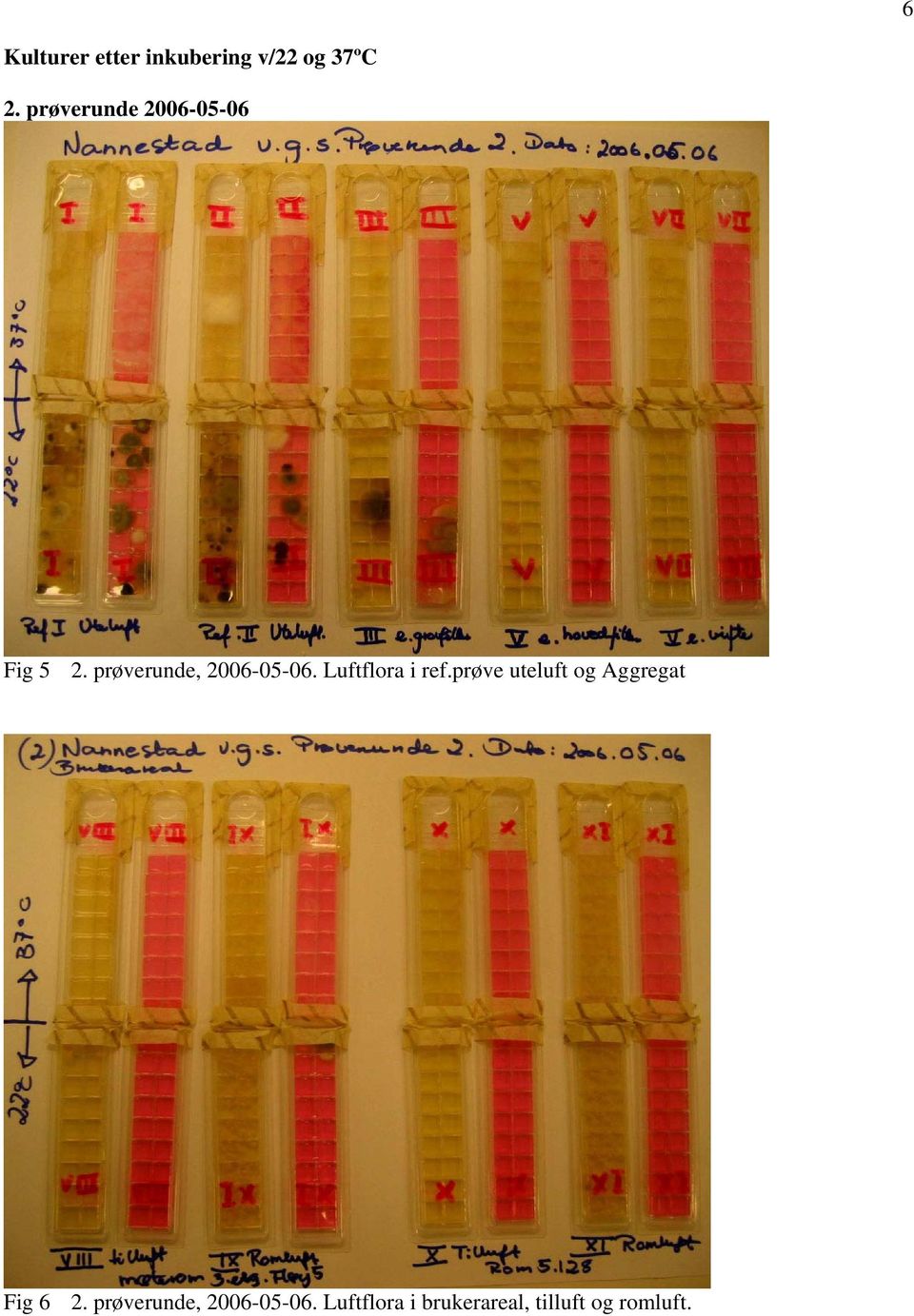 Luftflora i ref.prøve uteluft og Aggregat Fig 6 2.