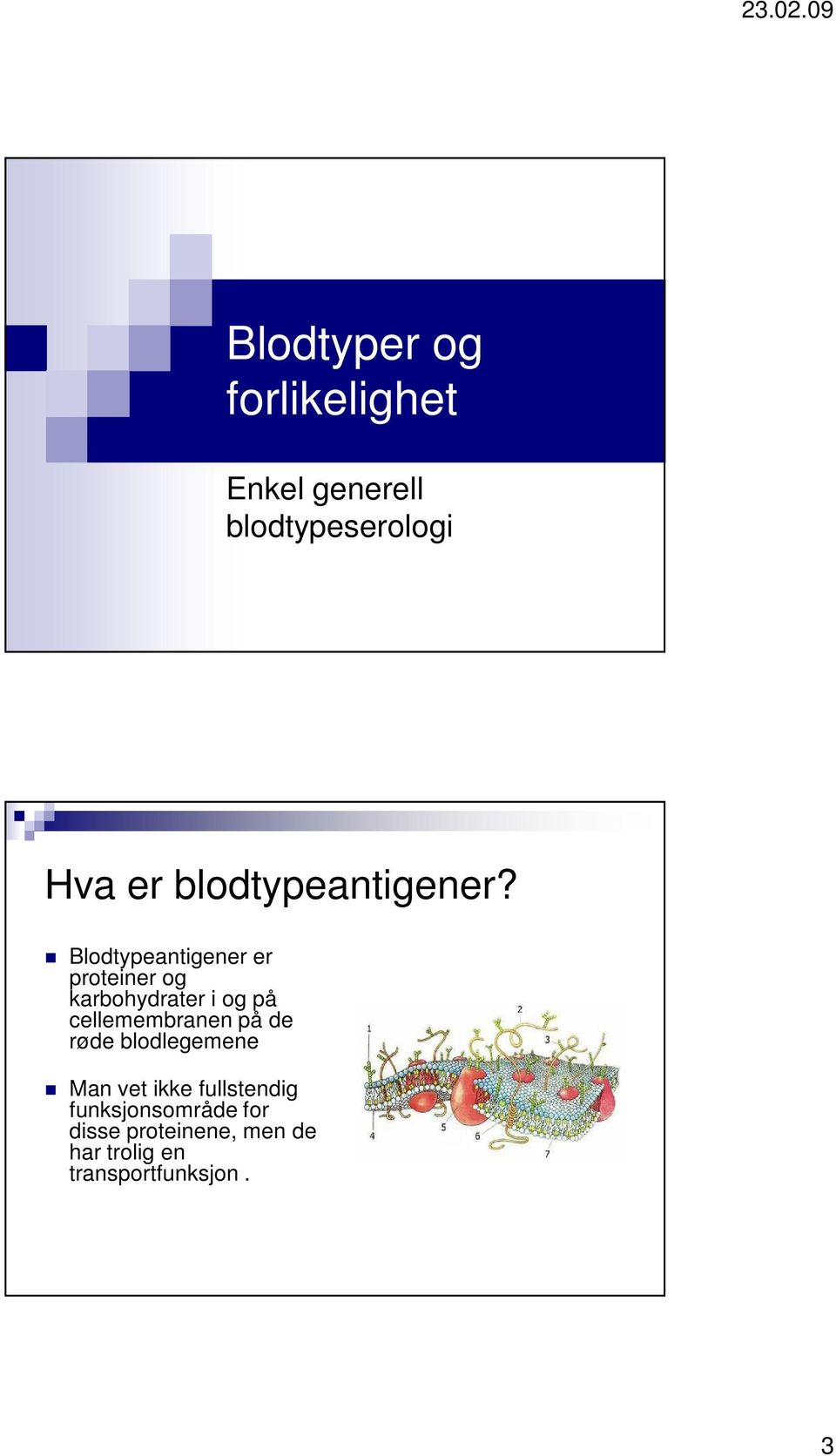 Blodtypeantigener er proteiner og karbohydrater i og på cellemembranen