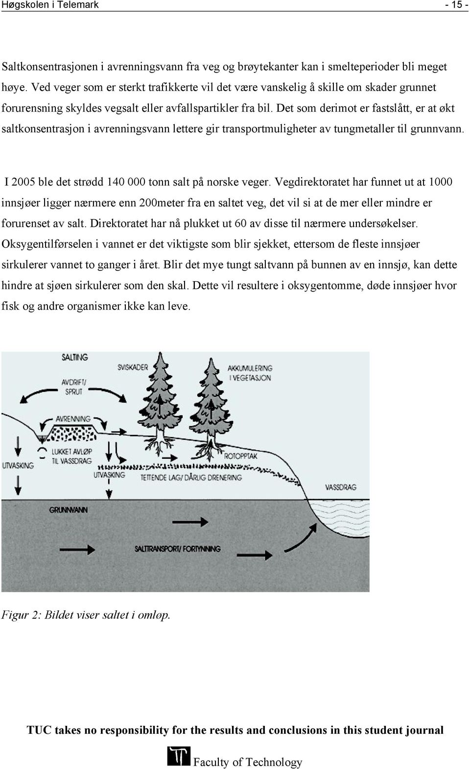 Det som derimot er fastslått, er at økt saltkonsentrasjon i avrenningsvann lettere gir transportmuligheter av tungmetaller til grunnvann. I 2005 ble det strødd 140 000 tonn salt på norske veger.