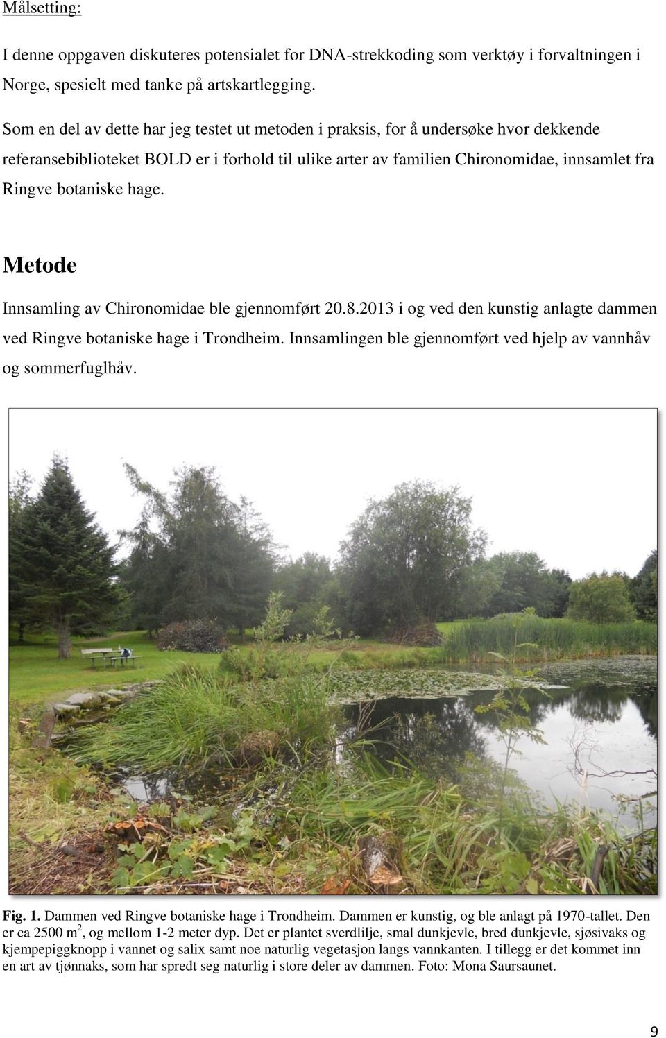 hage. Metode Innsamling av Chironomidae ble gjennomført 20.8.2013 i og ved den kunstig anlagte dammen ved Ringve botaniske hage i Trondheim.