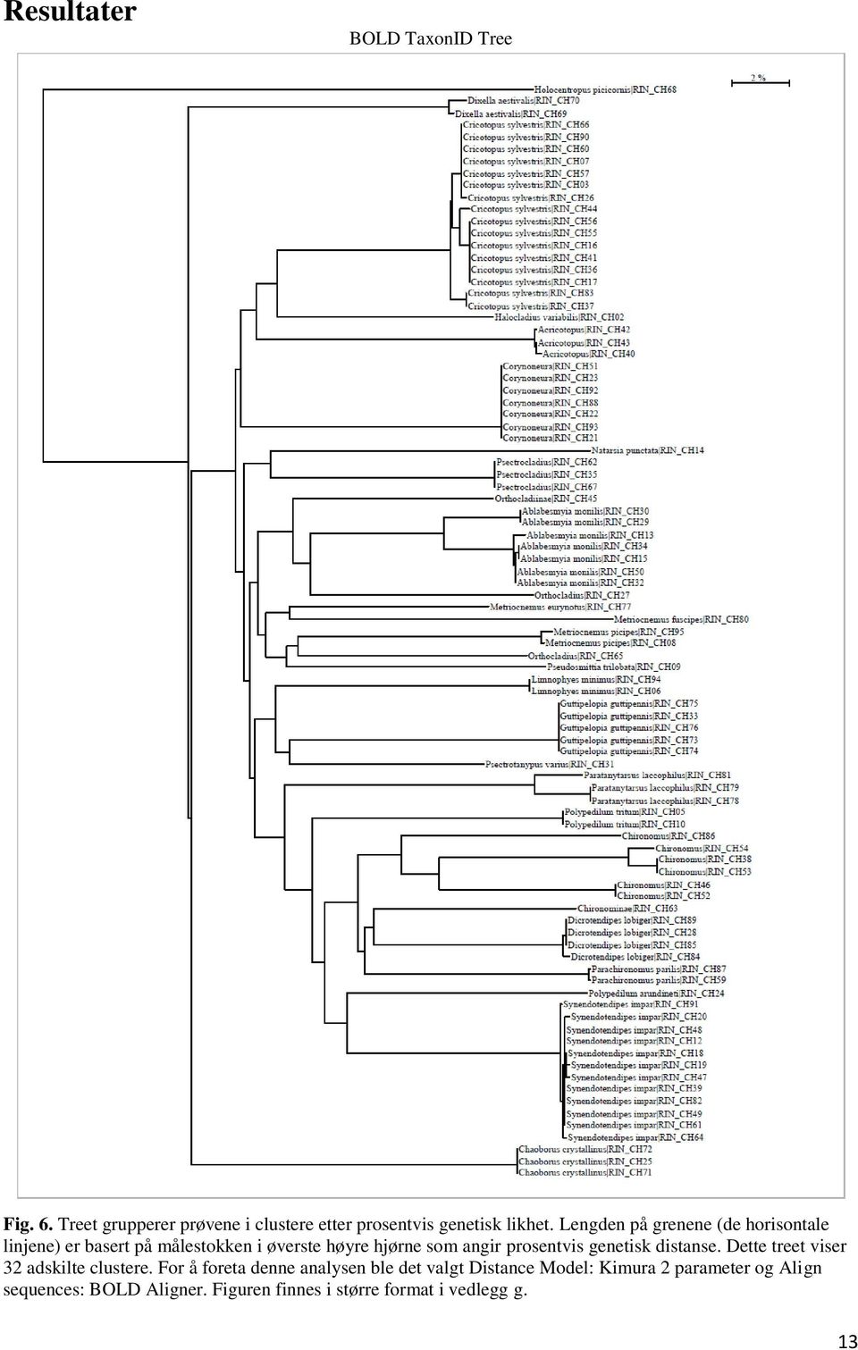 prosentvis genetisk distanse. Dette treet viser 32 adskilte clustere.