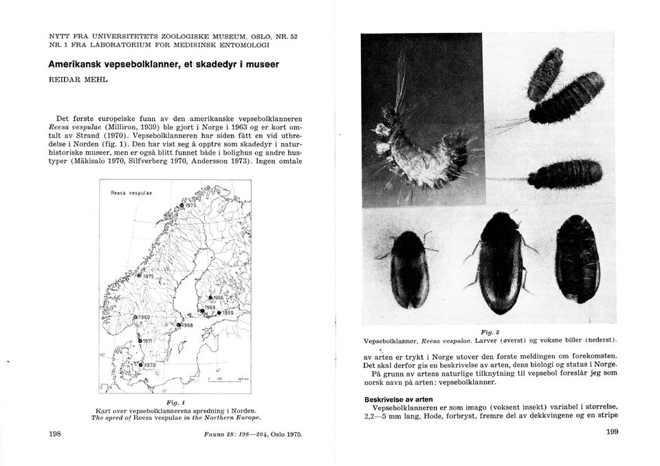 gjort i Norge i 1963 og er kort omtalt av Strand (1970). Vepsebolklanneren har siden fått en vid utbredelse i Norden (fig. 1).