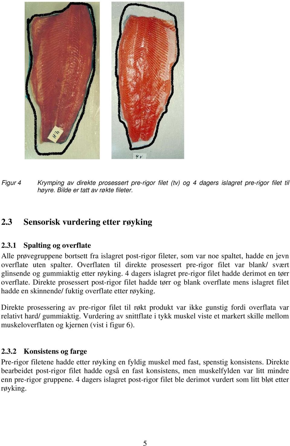 Overflaten til direkte prosessert pre-rigor filet var blank/ svært glinsende og gummiaktig etter røyking. 4 dagers islagret pre-rigor filet hadde derimot en tørr overflate.