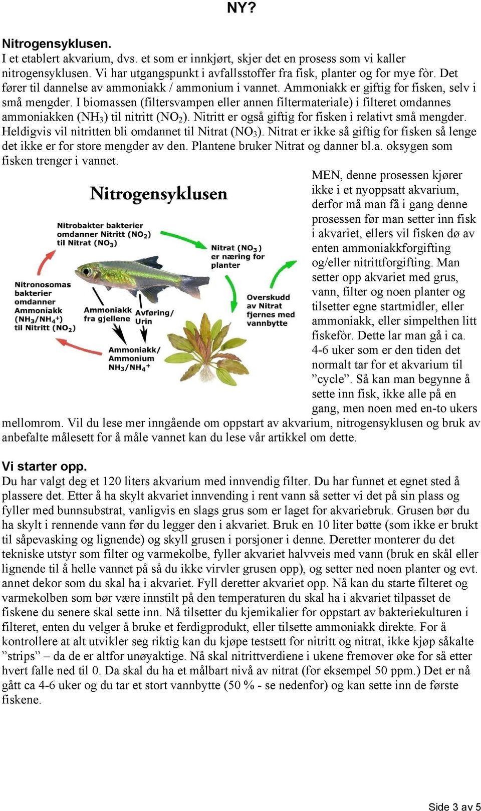 I biomassen (filtersvampen eller annen filtermateriale) i filteret omdannes ammoniakken (NH 3 ) til nitritt (NO 2 ). Nitritt er også giftig for fisken i relativt små mengder.